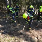 2022-03-19 Bezirksmodul Waldbrandbekämpfung