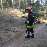 2022-03-19 Bezirksmodul Waldbrandbekämpfung