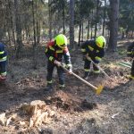2022-03-19 Bezirksmodul Waldbrandbekämpfung