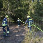 2022-03-19 Bezirksmodul Waldbrandbekämpfung