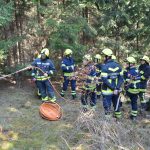 2022-03-19 Bezirksmodul Waldbrandbekämpfung