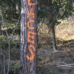 2022-03-19 Bezirksmodul Waldbrandbekämpfung