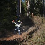 2022-03-19 Bezirksmodul Waldbrandbekämpfung