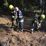 2022-03-19 Bezirksmodul Waldbrandbekämpfung