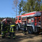 2022-03-19 Bezirksmodul Waldbrandbekämpfung