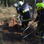 2022-03-19 Bezirksmodul Waldbrandbekämpfung