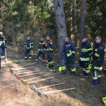 2022-03-19 Bezirksmodul Waldbrandbekämpfung