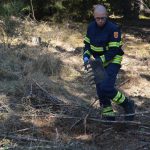 2022-03-19 Bezirksmodul Waldbrandbekämpfung