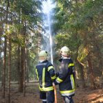 2022-03-19 Bezirksmodul Waldbrandbekämpfung