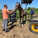 2022-06-14 Tierrettung FF Pfaffendorf-Karlsdorf