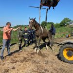 2022-06-14 Tierrettung FF Pfaffendorf-Karlsdorf