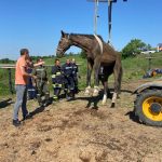 2022-06-14 Tierrettung FF Pfaffendorf-Karlsdorf