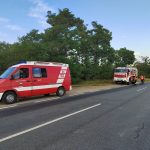 2022-08-07 S1 Ölspur Pulkau