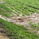 2023-06-07 Unwettereinsaetze