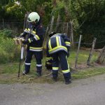 2023-08-19 Modul Grundlagen Führen