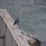 2023-09-22 Ehrenfunktionärsausflug zur Schleuse Nußdorf