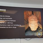 2024-03-14 Umgang mit Kleintieren