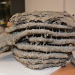 2024-03-14 Umgang mit Kleintieren