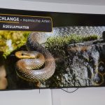 2024-03-14 Umgang mit Kleintieren