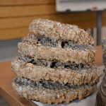 2024-03-14 Umgang mit Kleintieren