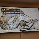 2024-03-14 Umgang mit Kleintieren