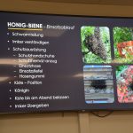 2024-03-14 Umgang mit Kleintieren