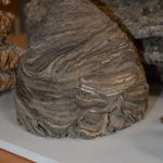 2024-03-14 Umgang mit Kleintieren