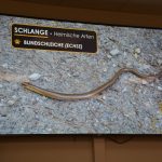 2024-03-14 Umgang mit Kleintieren