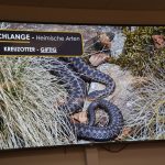 2024-03-14 Umgang mit Kleintieren