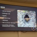 2024-03-14 Umgang mit Kleintieren