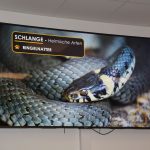 2024-03-14 Umgang mit Kleintieren