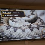 2024-03-14 Umgang mit Kleintieren