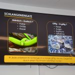 2024-03-14 Umgang mit Kleintieren