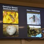 2024-03-14 Umgang mit Kleintieren