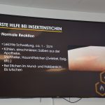 2024-03-14 Umgang mit Kleintieren