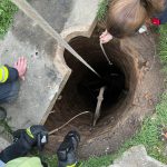 2024-03-30 KindBrunnen