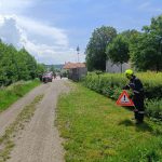 2024-05-25 Basiswissen