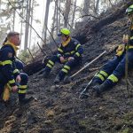 2025-03-09 WaldbrandNK