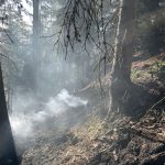 2025-03-09 WaldbrandNK