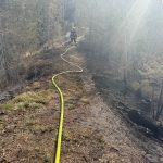 2025-03-09 WaldbrandNK