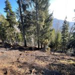 2025-03-09 WaldbrandNK