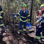 2025-03-09 WaldbrandNK