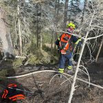 2025-03-09 WaldbrandNK