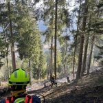 2025-03-09 WaldbrandNK