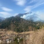 2025-03-09 WaldbrandNK