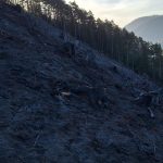 2025-03-09 WaldbrandNK