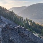 2025-03-09 WaldbrandNK