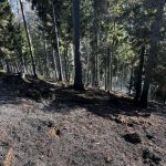 2025-03-09 WaldbrandNK