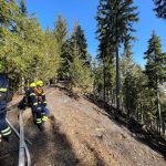 2025-03-09 WaldbrandNK