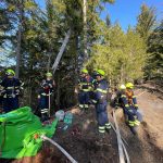 2025-03-09 WaldbrandNK